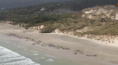 台风烟花过后留下惊人的一幕,台风烟花结局