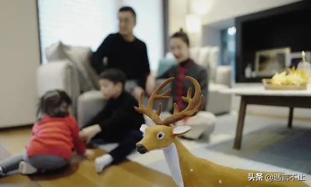 张大奕评价董花花和蒋凡完整视频,蒋凡与董花花最新情况