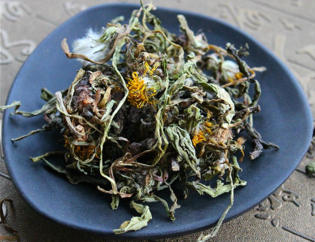 蒲公英中药自然笔记,每日一膳蒲公英