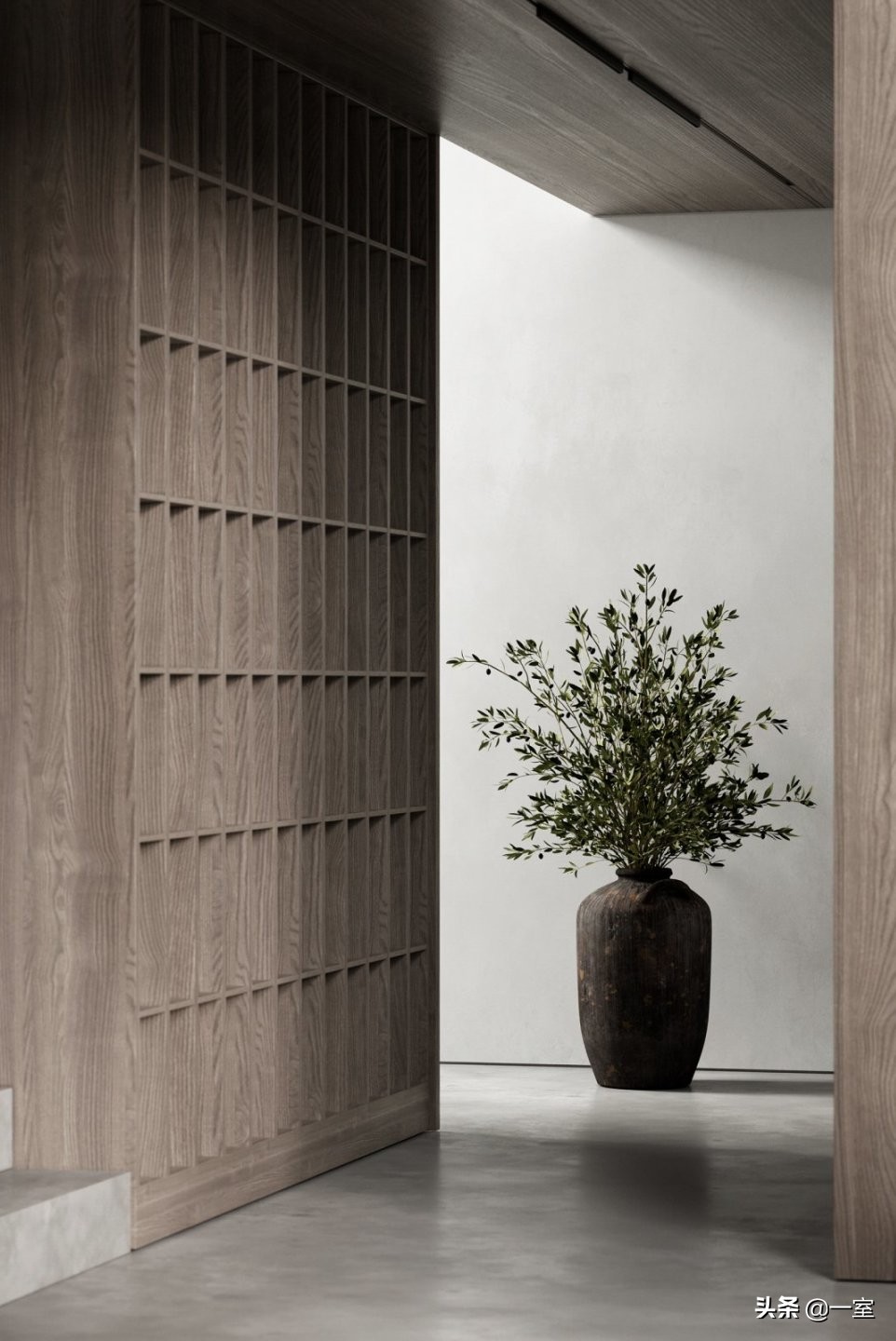 网红庭院植物搭配,网红绿植搭配技巧