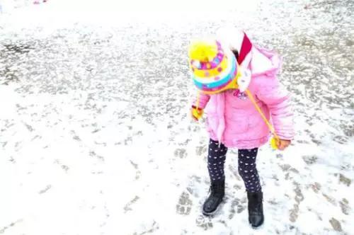 八年级下册压力的作用与效果,压力作用效果演示实验