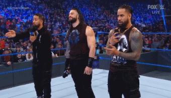 wwesd和raw所有选手,wwesd冠军腰带