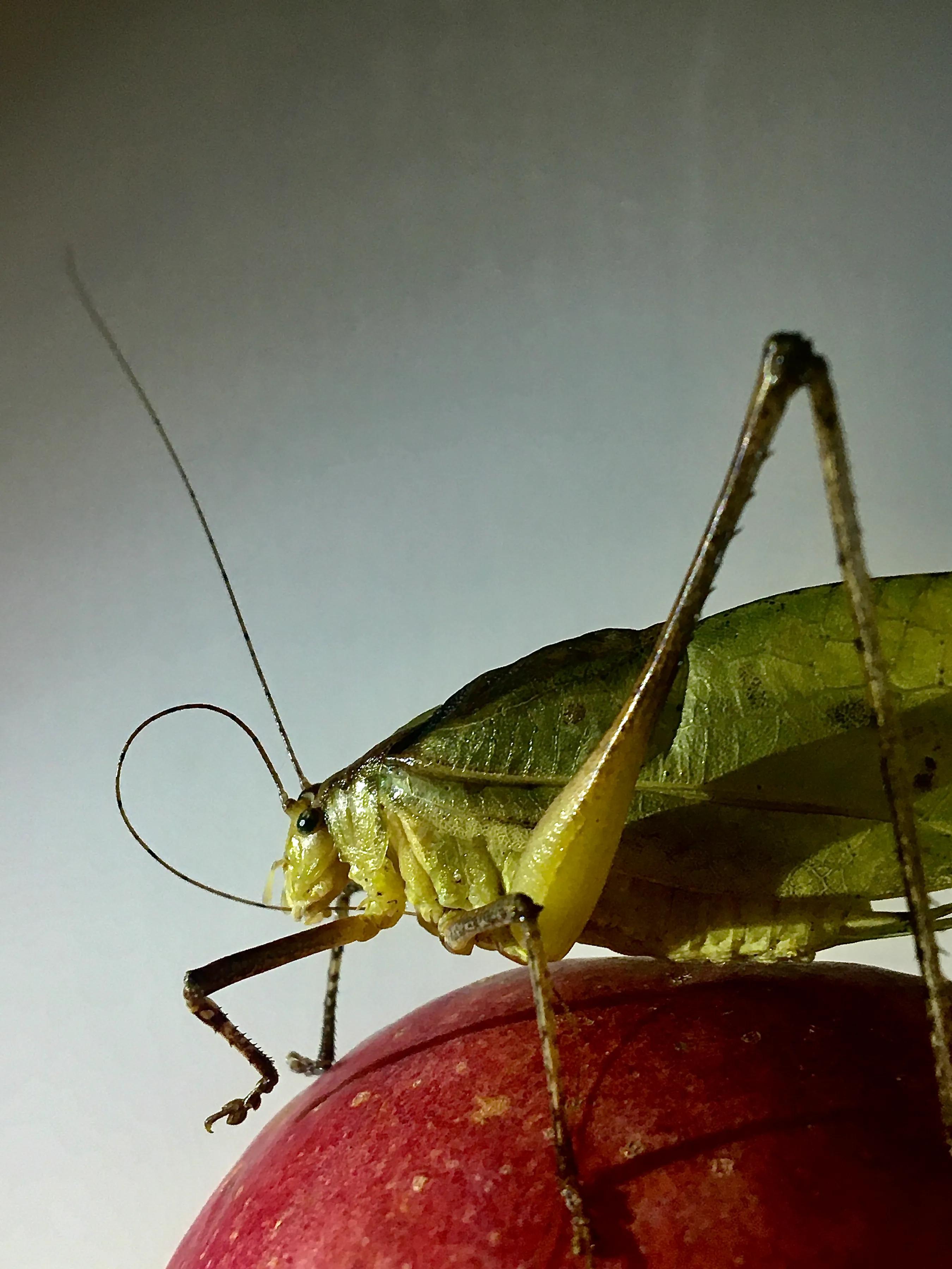 手拍世界投稿,手拍世界作品专集