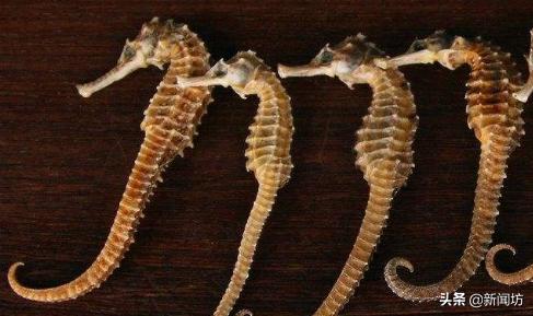 3岁女童出现少量出血是怎么回事,两岁女童少量出血