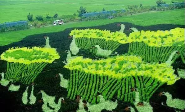 活成自己想要的模样沈北新区,你可能还不知道