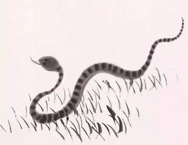 蛇为什么要三年后才报仇,蛇真的会报仇吗