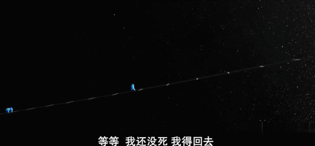 捡到宝！这么多的免费动画，错过损失一个亿