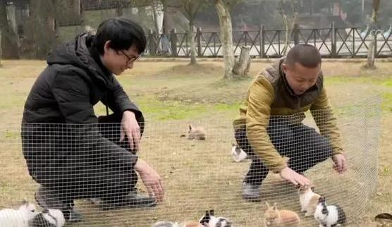 农村小伙养巴哥犬一年赚10万,小伙开宠物乐园年赚1800万