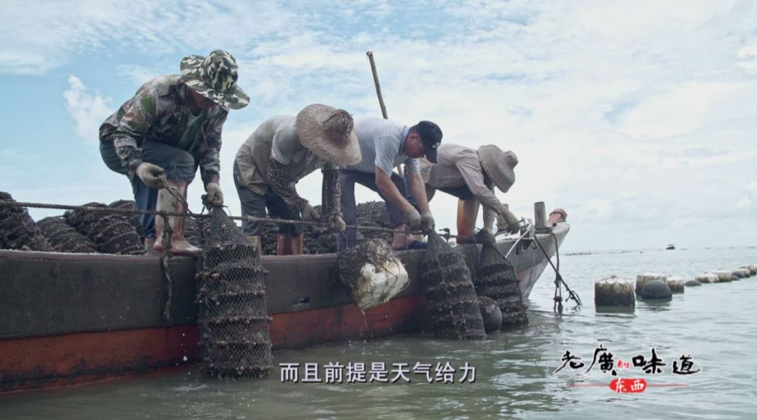 抗击疫情，广东台全台行动打响“防疫”宣传战