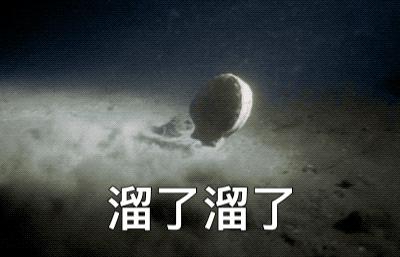 这哪里是烧烤,分明就像甜点!吃完还不用洗碗