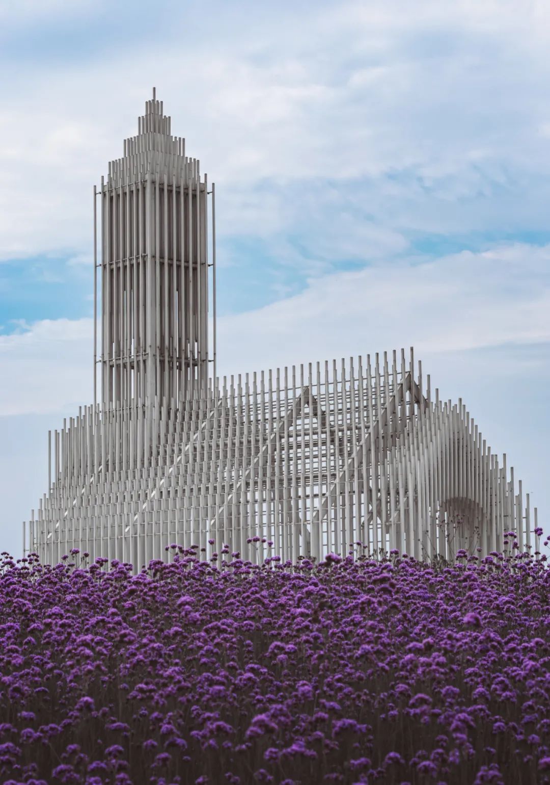 大片来袭震撼人心,成渝双城记全景图