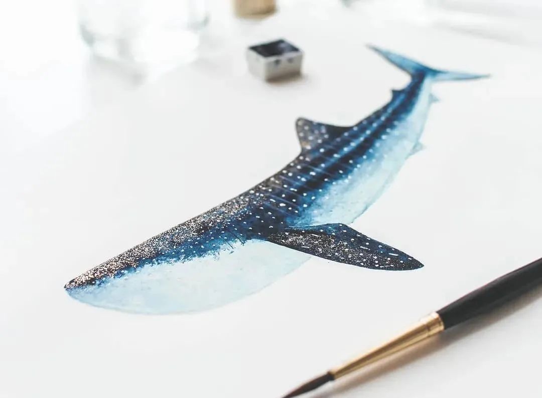 一头蓝鲸等于50只大象，被插画师画成小可爱，治愈了我们的内心