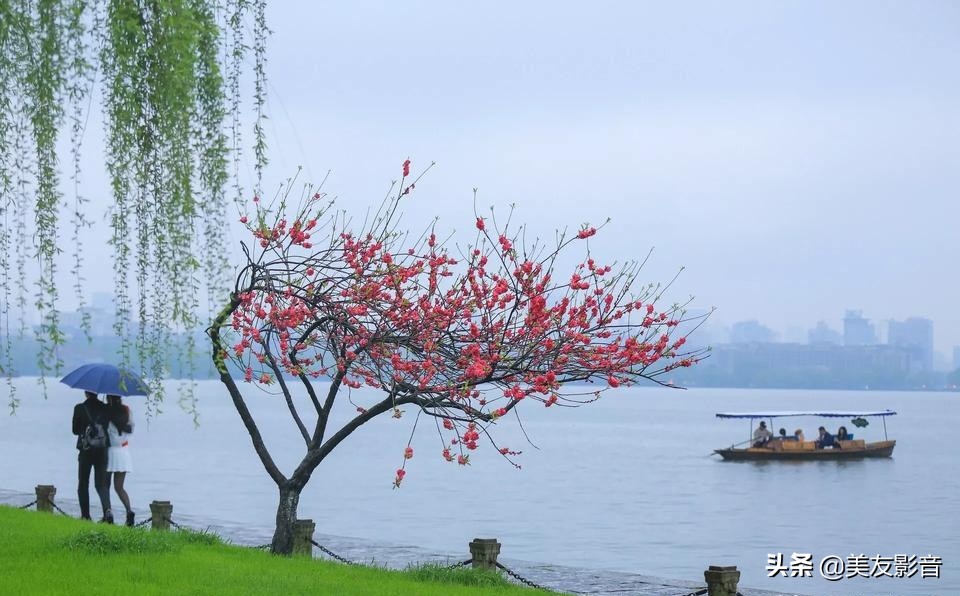 成语的误用类型有哪些,人民日报整理易错的四字成语