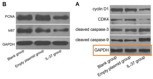 广东医科大学附属医院发表的SCI论文被质疑
