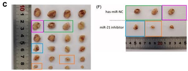 有关中医sci的论文选题,sci论文发表评价