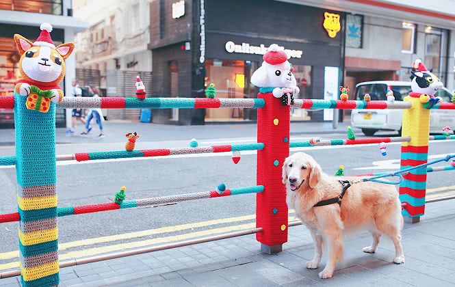 香港圣诞打卡地,圣诞节香港必打卡的地方