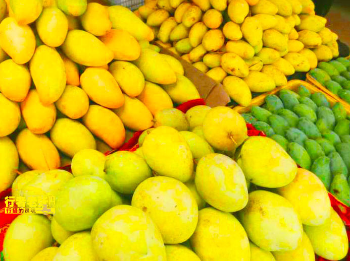 广西芒果之乡在哪个城市,广西有几个县与越南交界