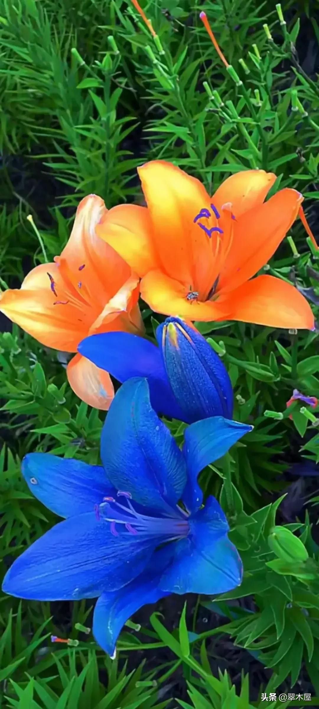 正义终将战胜邪恶对不对,正义终将战胜邪恶原唱