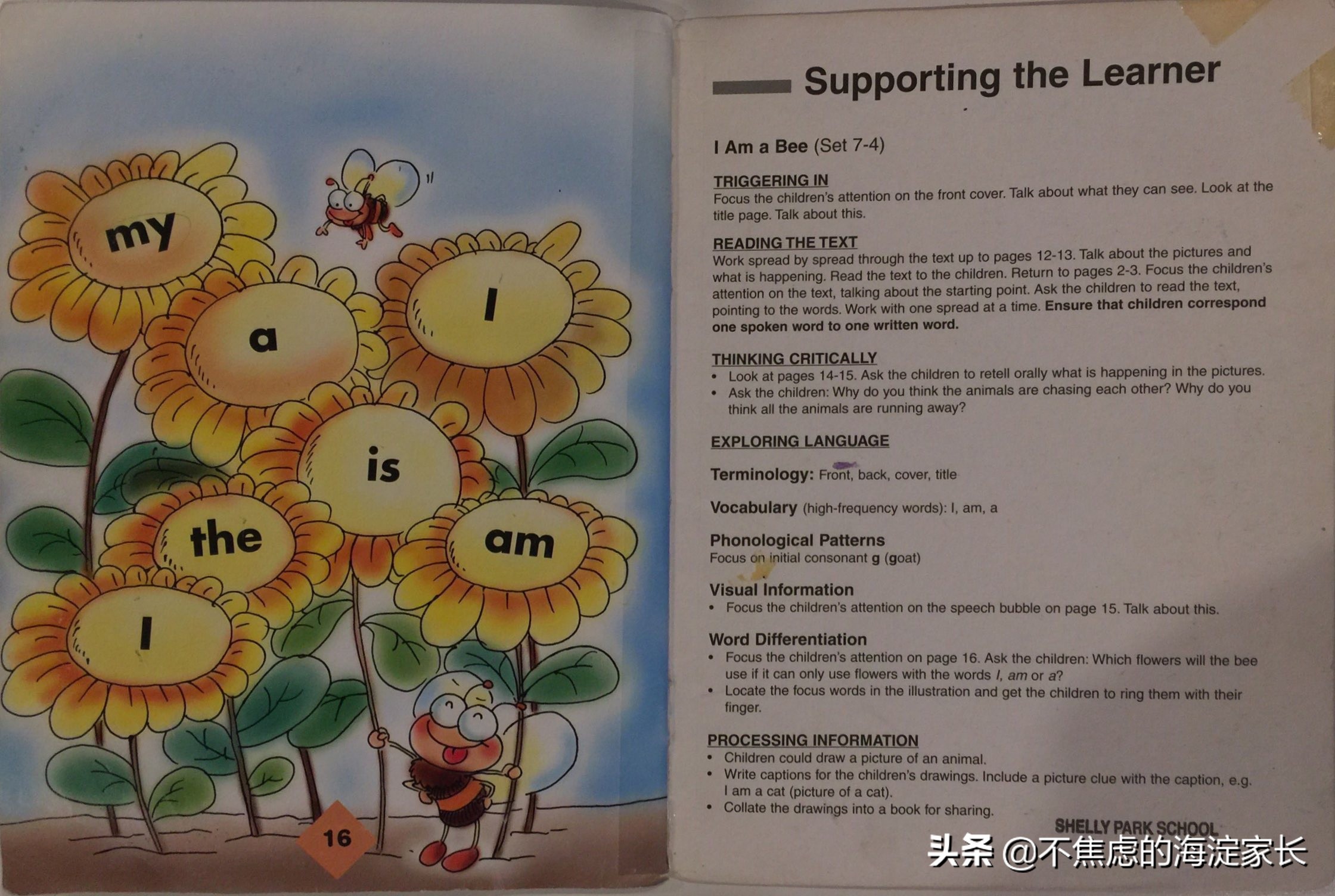 新西兰小学二年级课后读物,新西兰小学阅读书籍