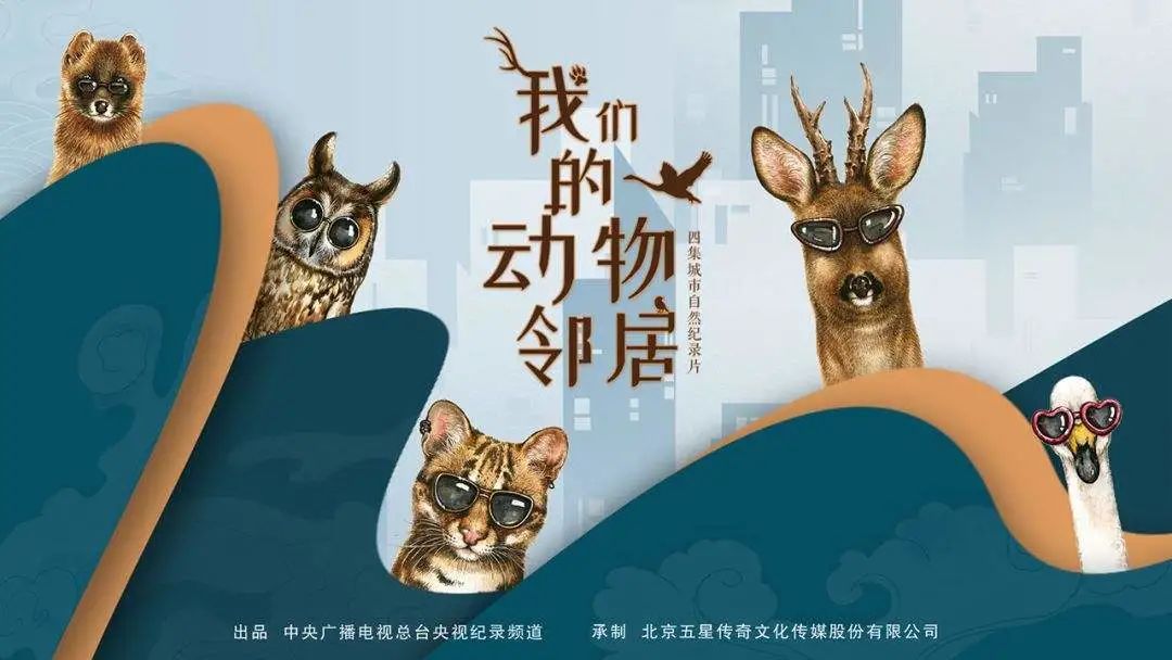 为纪录片“注入灵魂”的知名音乐人——卢楠、徐鲤，“我们”采访到了！