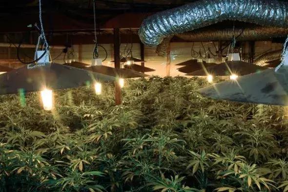 纽约上空的神秘蓝光,纽约上空出现不明蓝光