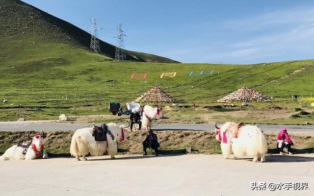 青海十大自驾游路线,青海旅游攻略达人