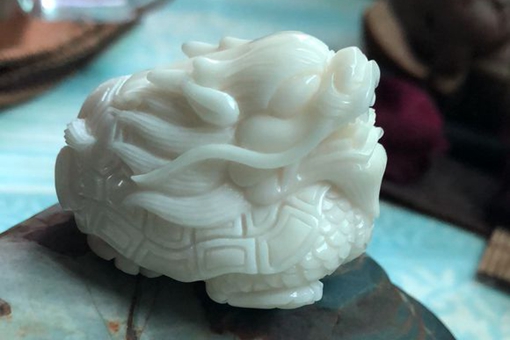 植物象牙图片大全大图,植物象牙红