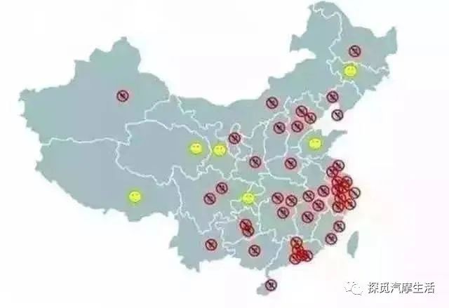 城市森林里的小精灵,森林中迷人的小精灵