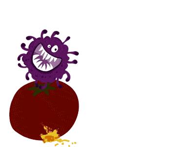 真空封装食物保鲜时间,食物冷冻保鲜还是真空保鲜效果好