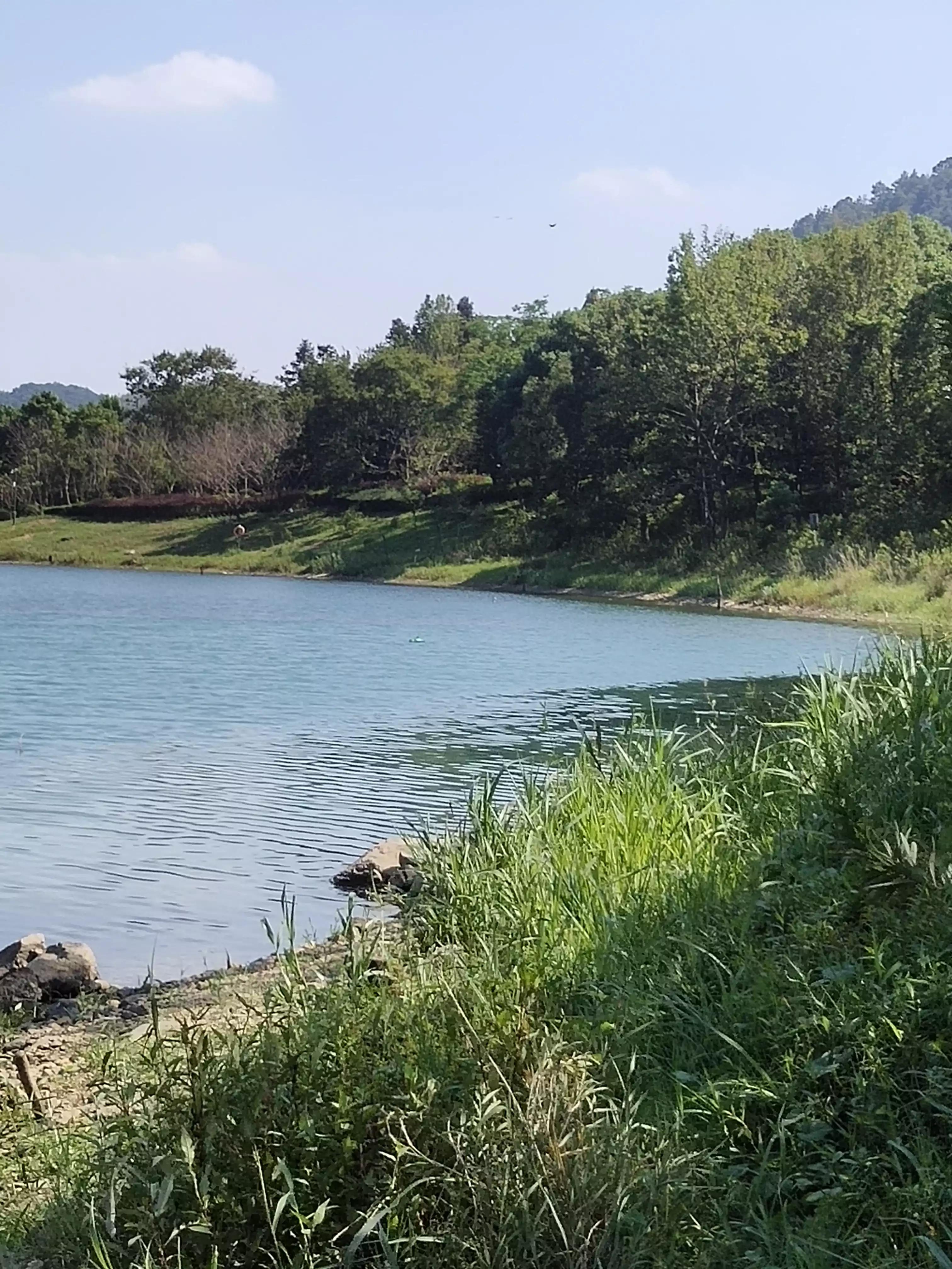 秋季宁波钓鱼,秋钓深潭