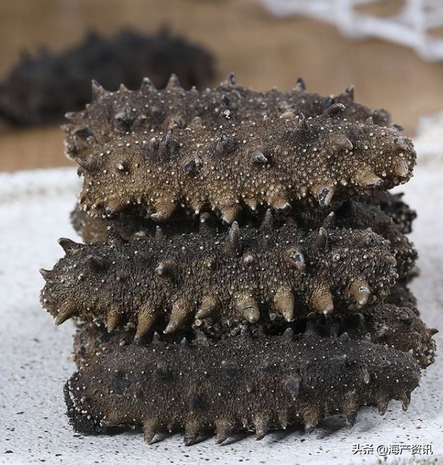 加拿大海参开袋即食,加拿大海参专卖店