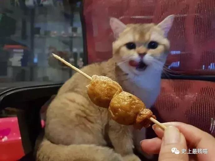 如何委婉地表达最近手头有点紧,怎样委婉的表示自己手头有点紧