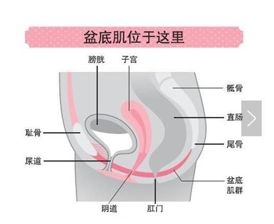妈妈康盆底肌修复,产后会阴康复