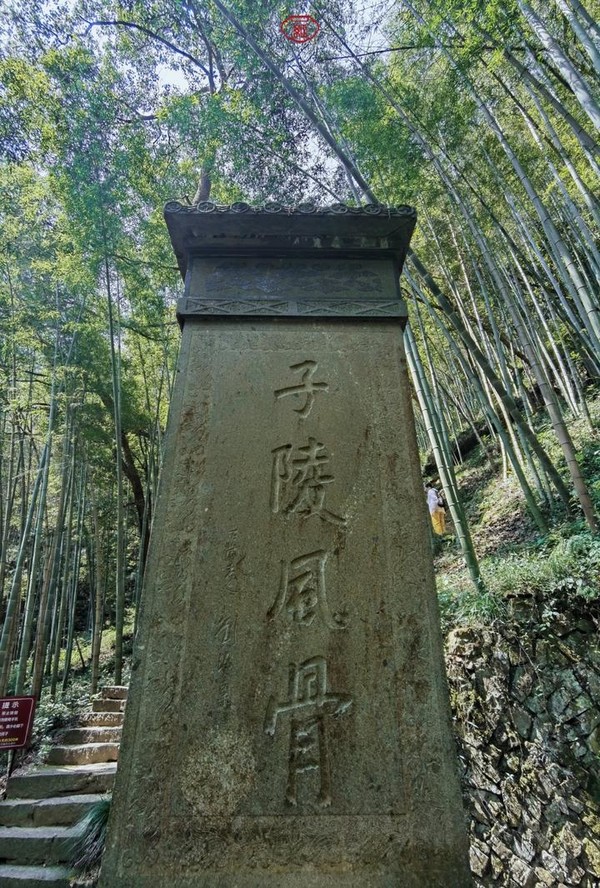 桐庐夜游富春山居景区,桐庐富春江夜游和白天游