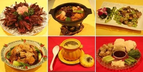 凤山温泉度假村，带你回到春暖花开的季节