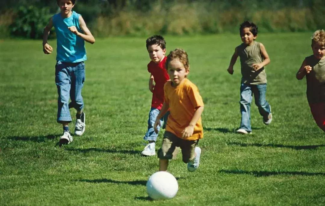 如何改革体育教育,当下体育教育现状