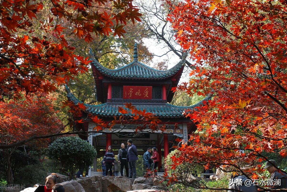 帘与莲：杜牧珠帘美人的小说版｜穿越晚明史：诗解*瓶金**梅第二回下