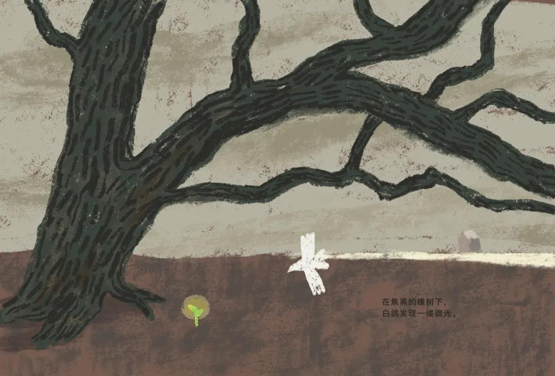 中国原创绘本精品巡展,东方娃娃原创绘本奖公众号