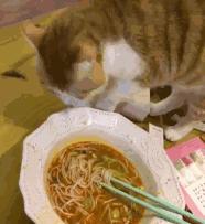 铲屎官想偷吃点零食也太难了吧,铲屎官日常被撒狗粮