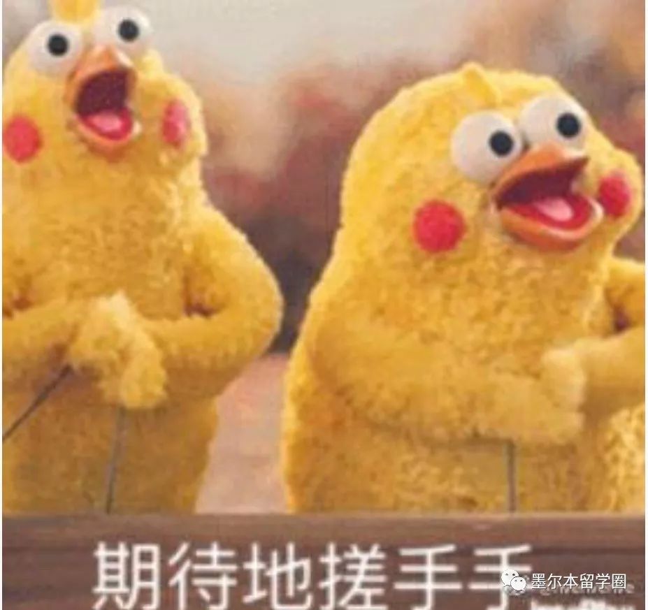 谁说留学澳洲是把毁容刀?种草这些,仙女在哪都是仙女!