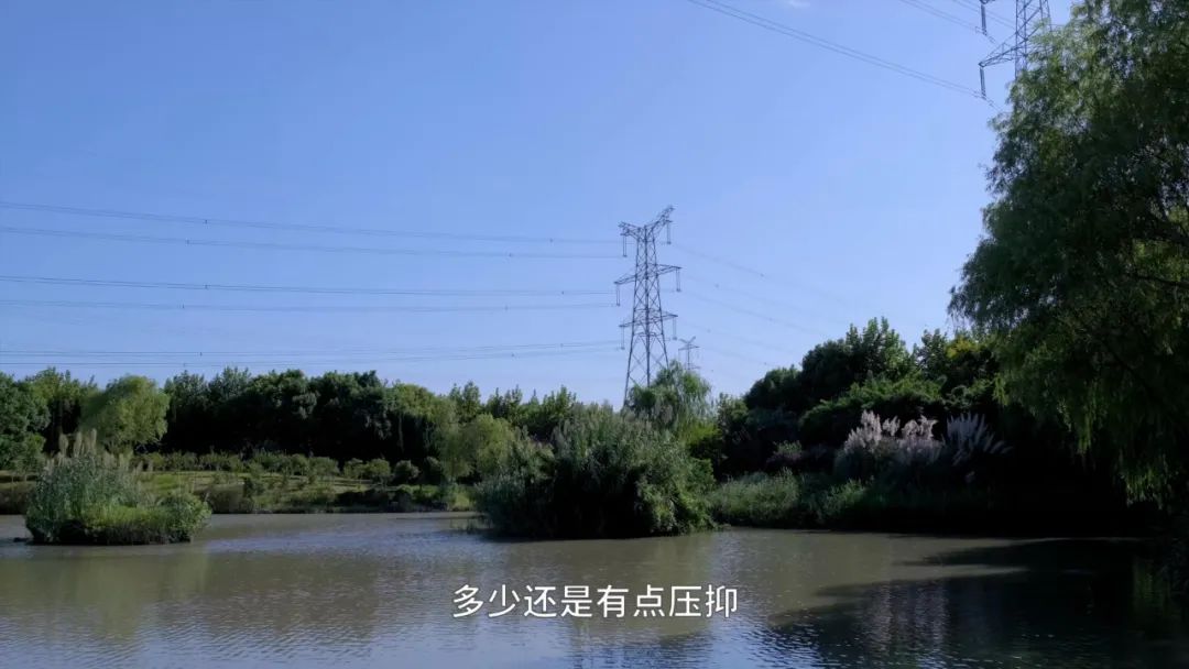 张江长三角科技城属于上海吗,上海张江科学城