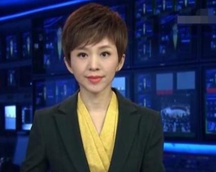 央视主持人欧阳夏丹婚姻状况,央视名嘴欧阳夏丹近来工作情况