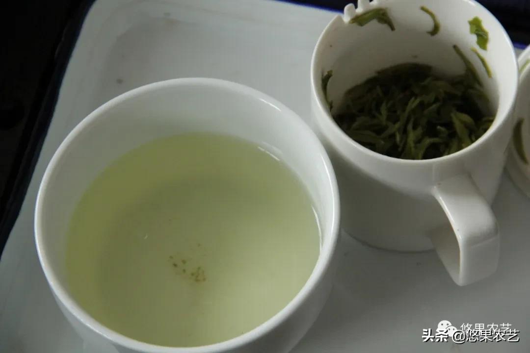 普陀佛茶明前茶,2017普陀佛茶