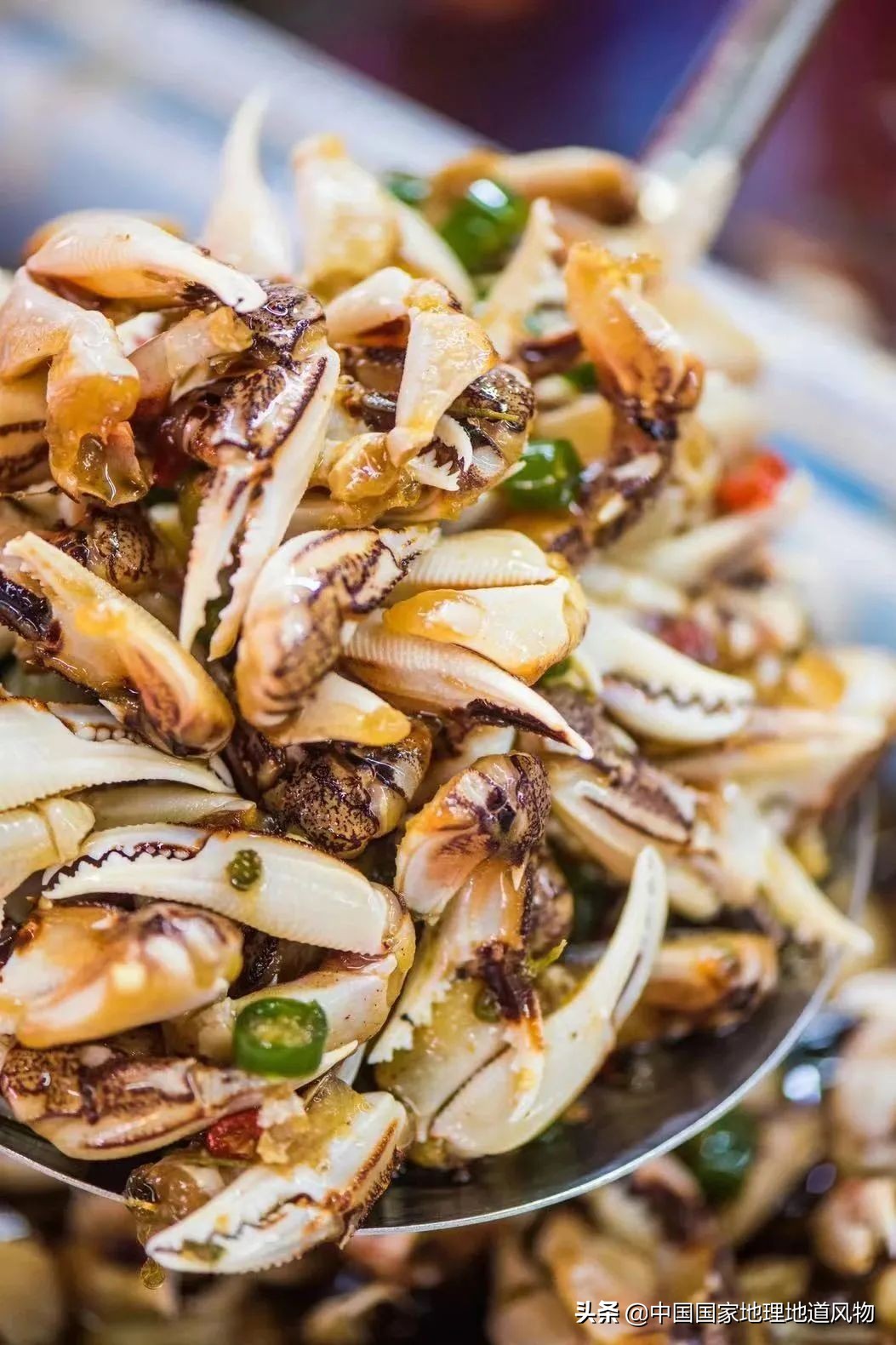 南方熟醉六月黄VS北方生腌皮皮虾,谁才是让人最爱的那口“鲜”?