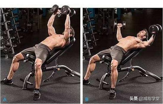 哑铃飞鸟飞伤了,哑铃飞鸟练错了会怎么样