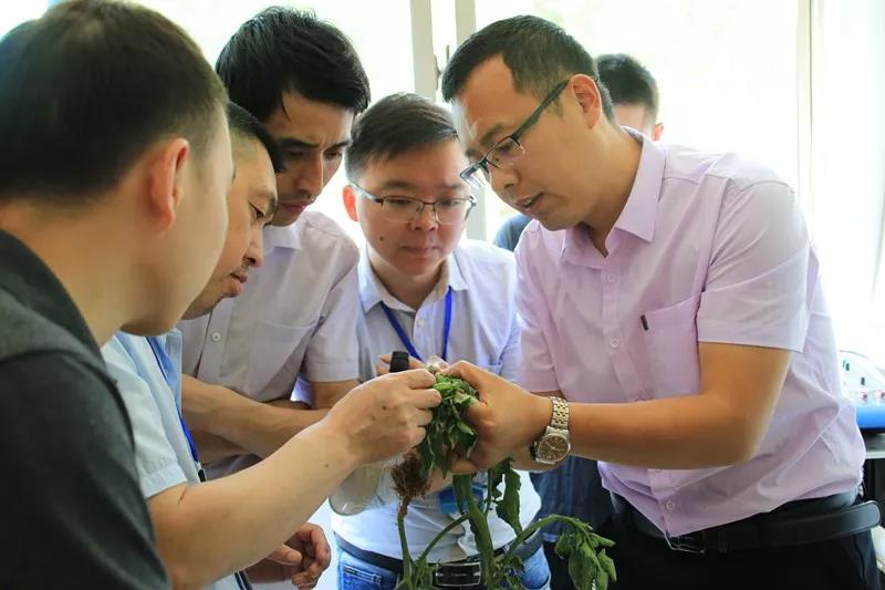 抢名额，19期中国无土栽培和土壤种植技术升级集成培训会