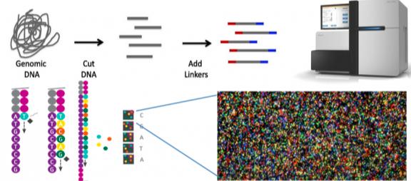 16s高通量测序仪器,16rdna测序技术