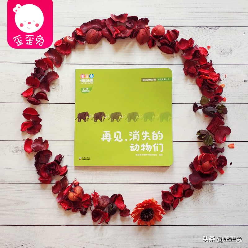 歪歪兔早教项目组,歪歪兔早教怎么订购