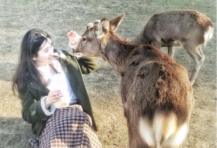 王思聪李易峰综艺节目,王思聪李易峰玩游戏