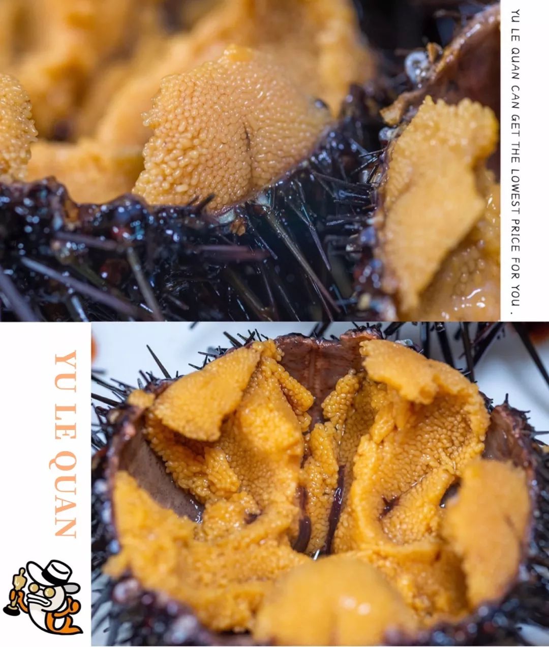 大连人都喜欢的平价海鲜超市，现捞现歹不是梦